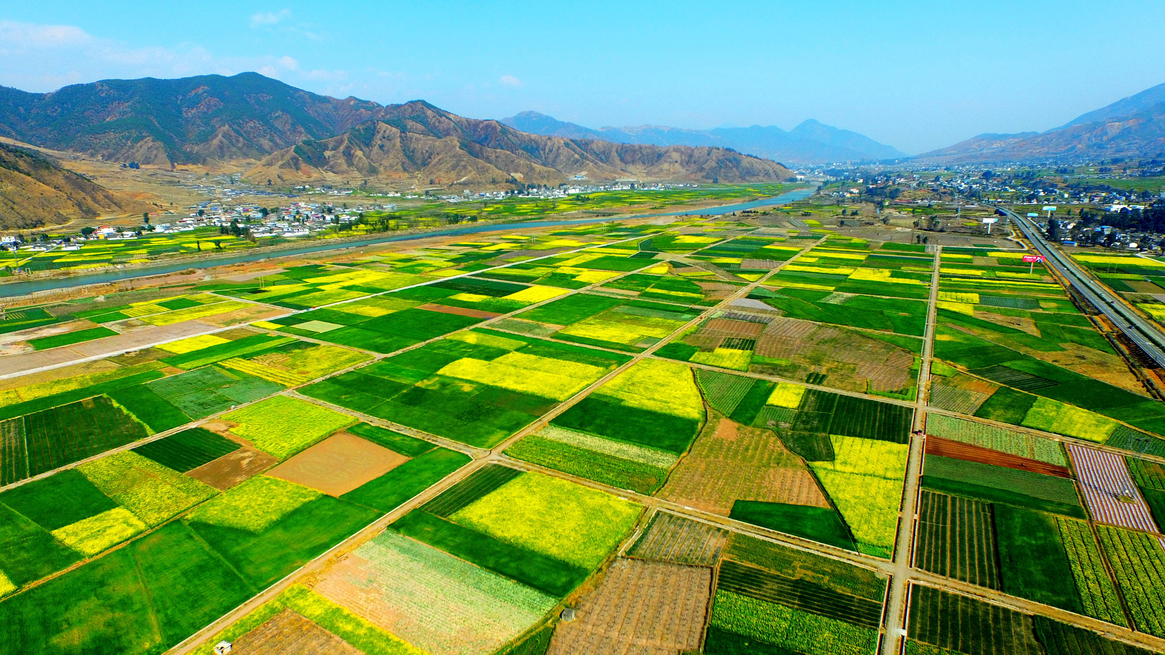 安宁河畔油菜花田2.JPG