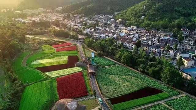 全球性荣誉！浙江这个村获评世界最佳旅游乡村