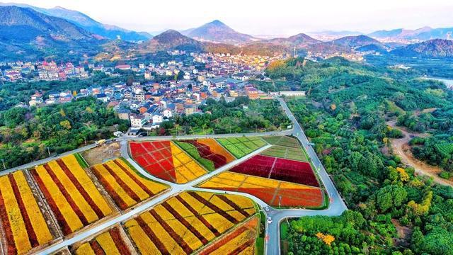 全球性荣誉！浙江这个村获评世界最佳旅游乡村