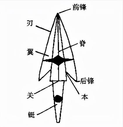 鼎鬲甗簋盨簠敦俎爵角斝鐎尊觥彝……你都认识吗？