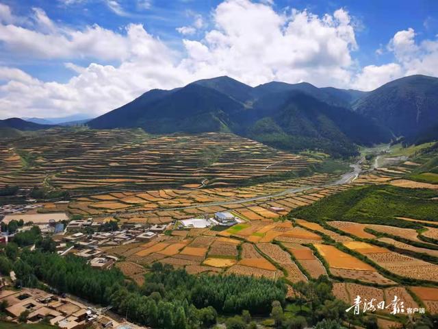 美丽画卷，在宜居宜业的乡村里