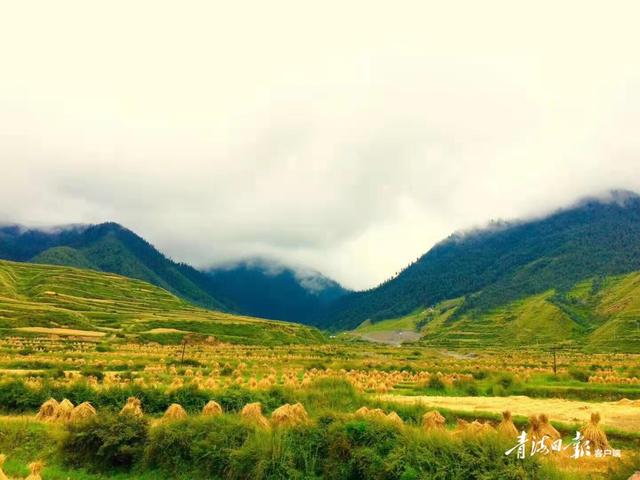 美丽画卷，在宜居宜业的乡村里