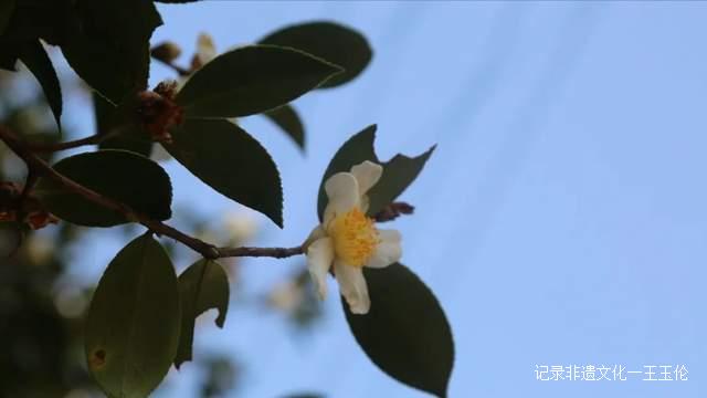 这个秋天，带你探寻非遗文化记忆